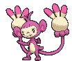 Ambipom variocolor