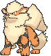 Pokémon - Arcanine