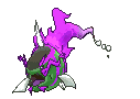 Basculegion variocolor