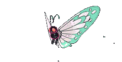Pokémon - Butterfree