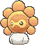 闪光Sunny Castform