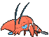 Clauncher variocolor