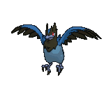 Pokémon - Corvisquire