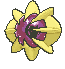 Cosmoem variocolor