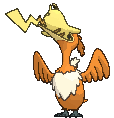 Gorging Cramorant variocolor