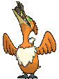 Gulping Cramorant variocolor