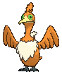 Cramorant variocolor