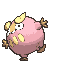 Darumaka variocolor