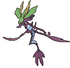 Dragalge variocolor