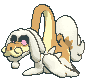 Drampa variocolor