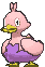 Ducklett variocolor