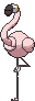 Shiny Flamigo