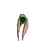Shiny Golbat