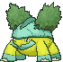 Grotle variocolor