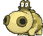 Hippopotas variocolor