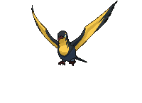 Pokémon - Kilowattrel