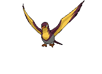 Kilowattrel variocolor