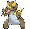 Krookodile variocolor