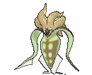 Malamar variocolor