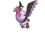 Mandibuzz cromatico
