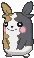 Morpeko variocolor
