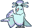Sensu Oricorio variocolor