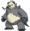 Pokémon - Pangoro