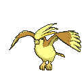 Shiny Pidgeot
