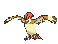 Pokémon - Pidgeotto