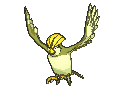 Shiny Pidgeotto