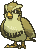 Shiny Pidgey