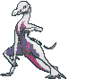 Salazzle variocolor