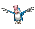 Squawkabilly-Blue variocolor