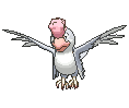 Squawkabilly-White variocolor