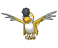 Pokémon - Squawkabilly-Yellow