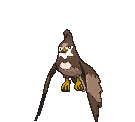 Staravia variocolor