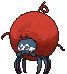 Tarountula variocolor