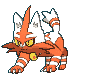 Torracat variocolor