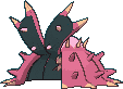 Toxapex variocolor