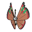 Vivillon-Archipelago cromatico
