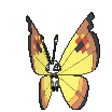 Vivillon-Continental cromatico