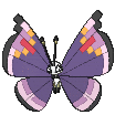 Vivillon-Elegant cromatico