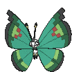 Vivillon-Garden cromatico
