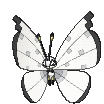 Vivillon-Icy Snow cromatico