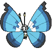 Vivillon-Marine cromatico