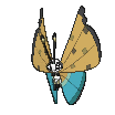 Vivillon-River variocolor