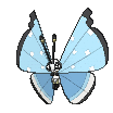 Vivillon-Tundra variocolor