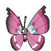 Vivillon cromatico