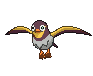 Wattrel variocolor