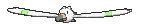 闪光长翅鸥